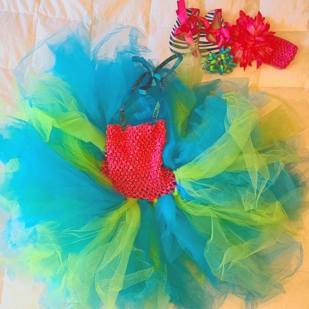 Tulle fancy picture day Infant outfit